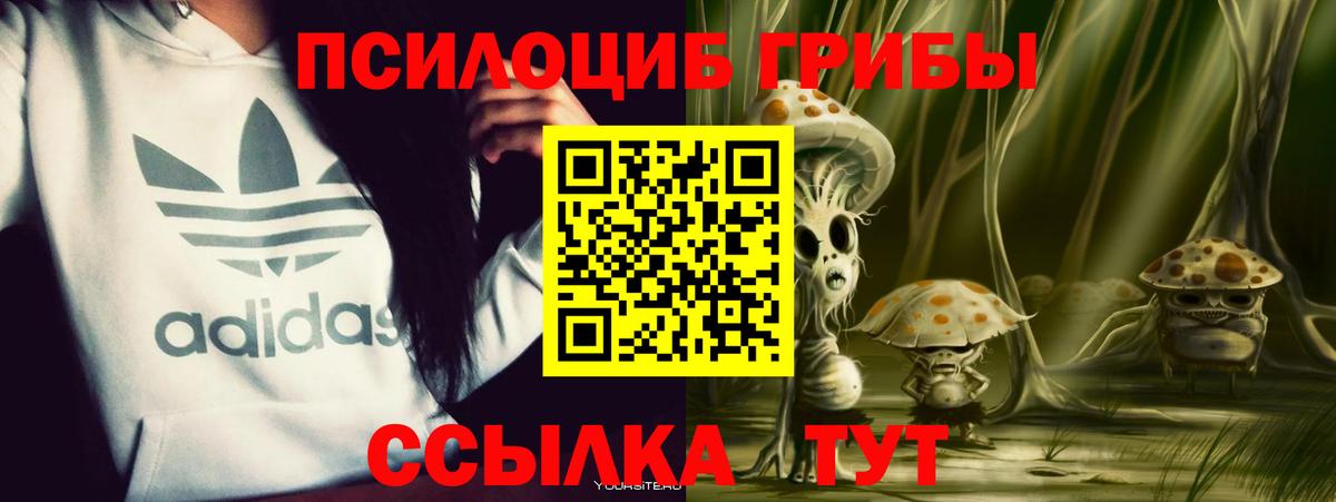 Галлюциногенные грибы ЛСД  Вход с VPN  купить  цена  Калач-на-Дону 